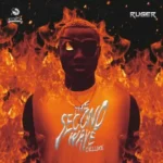 Ruger – The Second Wave Deluxe EP