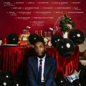 Burna Boy – Love, Damini Album