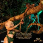 [Full Album] Tekno – Old Romance