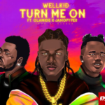 Wellkid Ft. Olamide & Jamopyper – Turn Me On