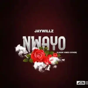 Jaywillz – Nwayo (Lagos Vibes Cover)