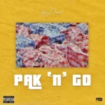 Kizz Daniel – Park N Go