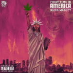 Naira Marley – First Time In America